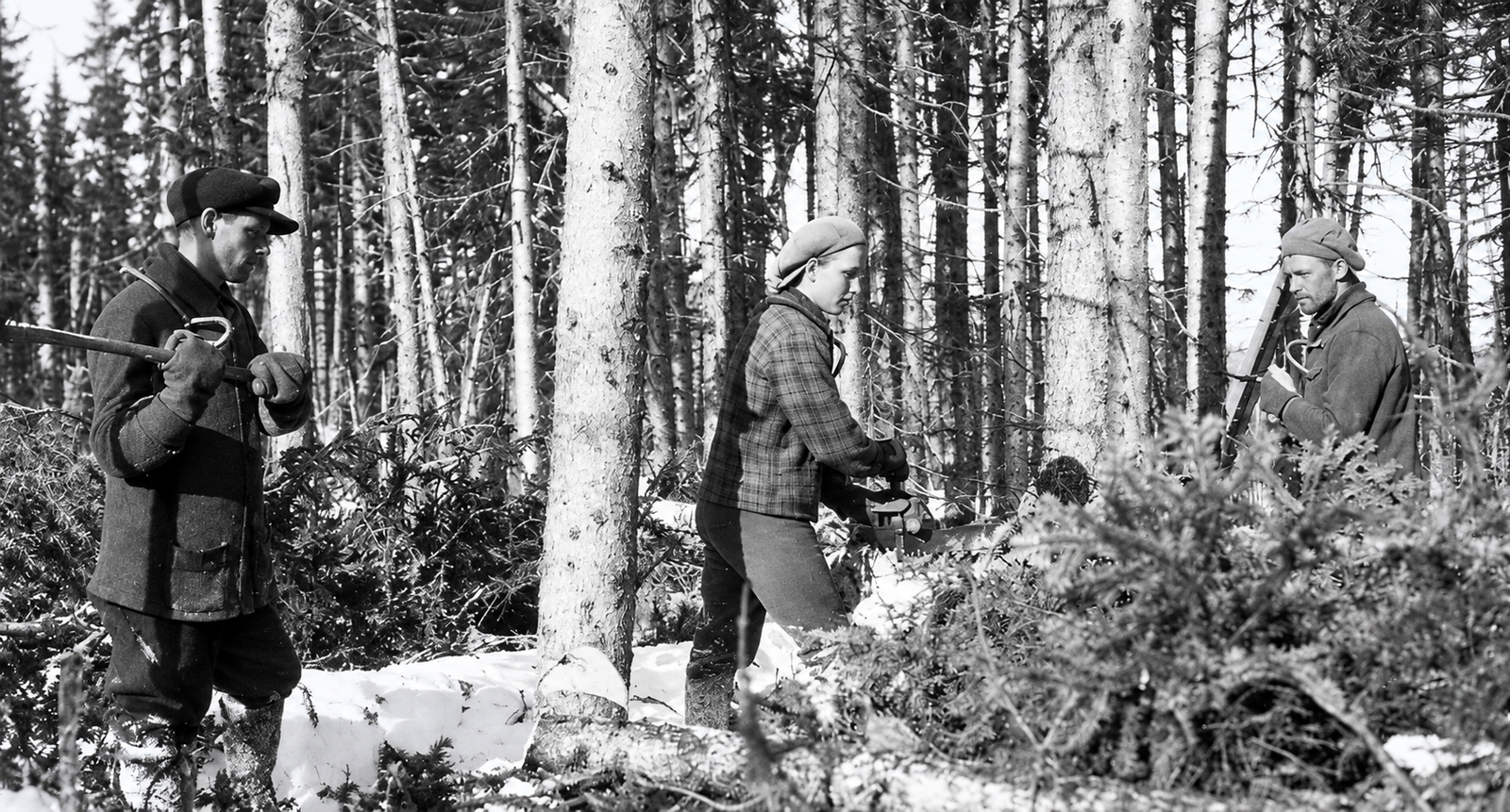 Photographie d’archives des chantiers de la Côte-Nord, image 17