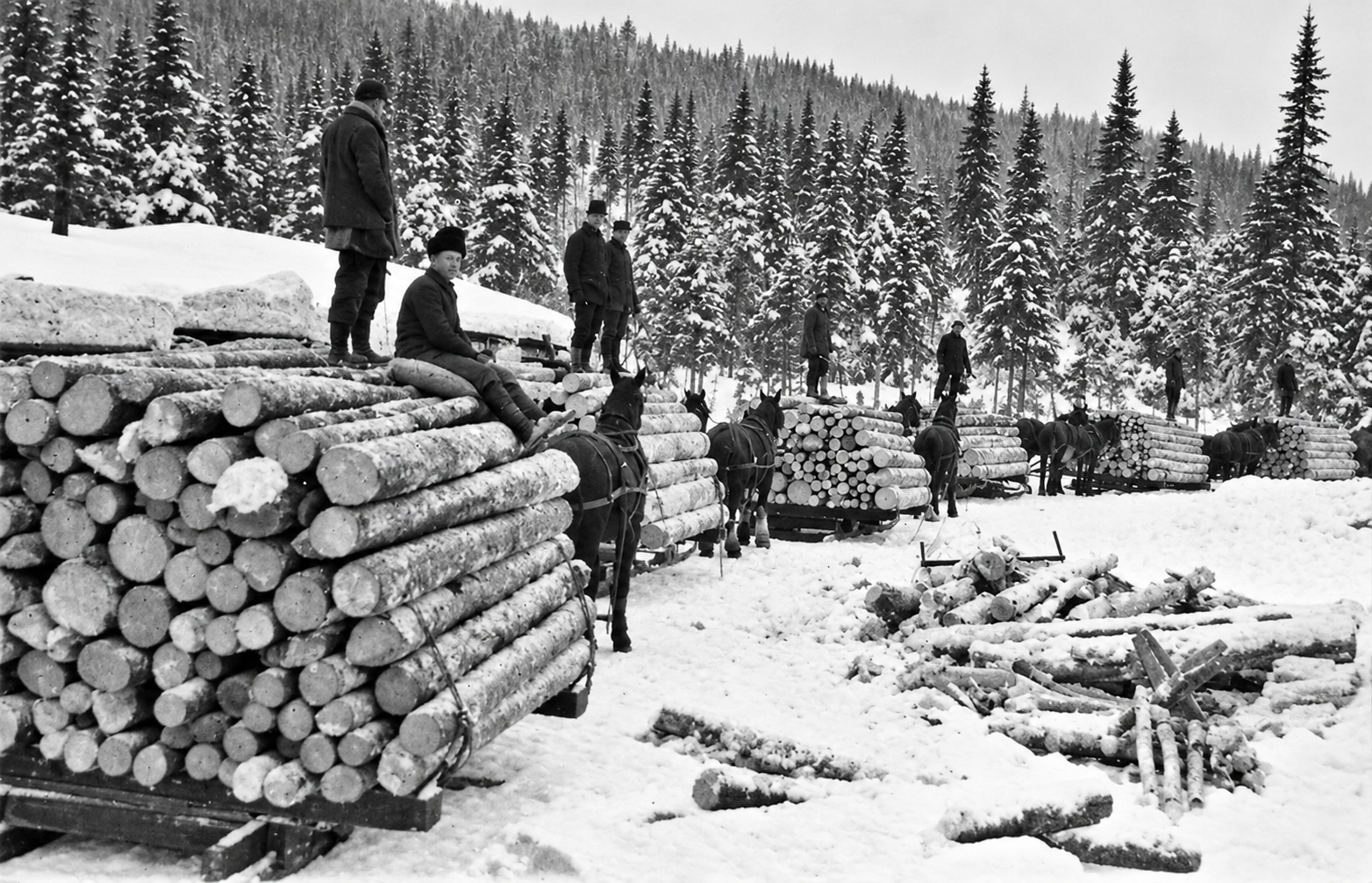 Photographie d’archives des chantiers de la Côte-Nord, image 11