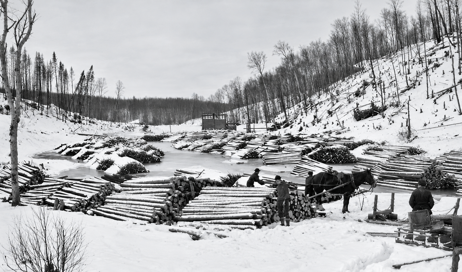 Photographie d’archives des chantiers de la Côte-Nord, image 6