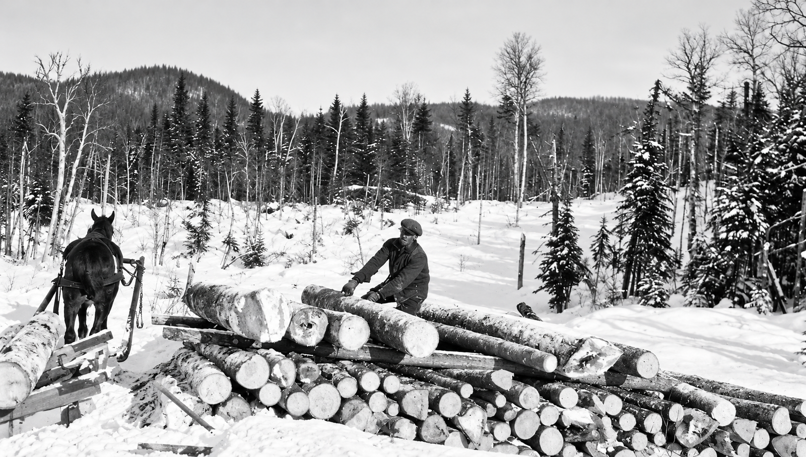 Photographie d’archives des chantiers de la Côte-Nord, image 10